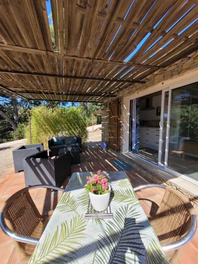Studio Dans Maisonnette En Pierre Le Castellet  Eksteriør billede